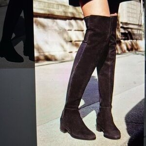 Tory Burch Caitlin brown Suede Over the Knee Thigh High pull on boot Size 8